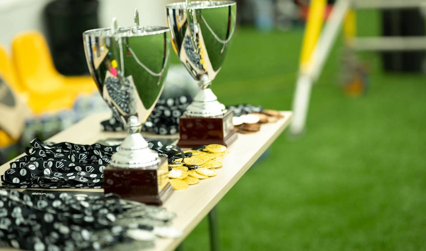 Трофеи и медали на турнире iSport January Cup
